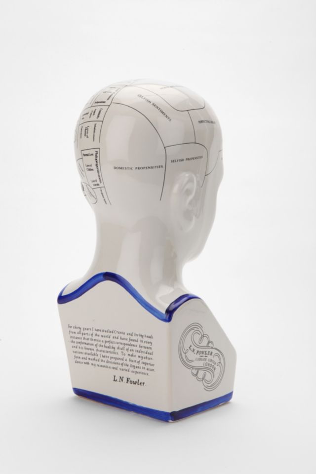 Phrenology Head Jewelry Stand #2