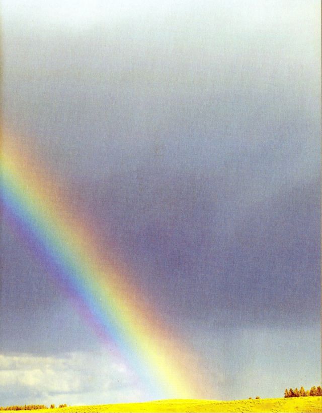 Sky Writing Journal #1