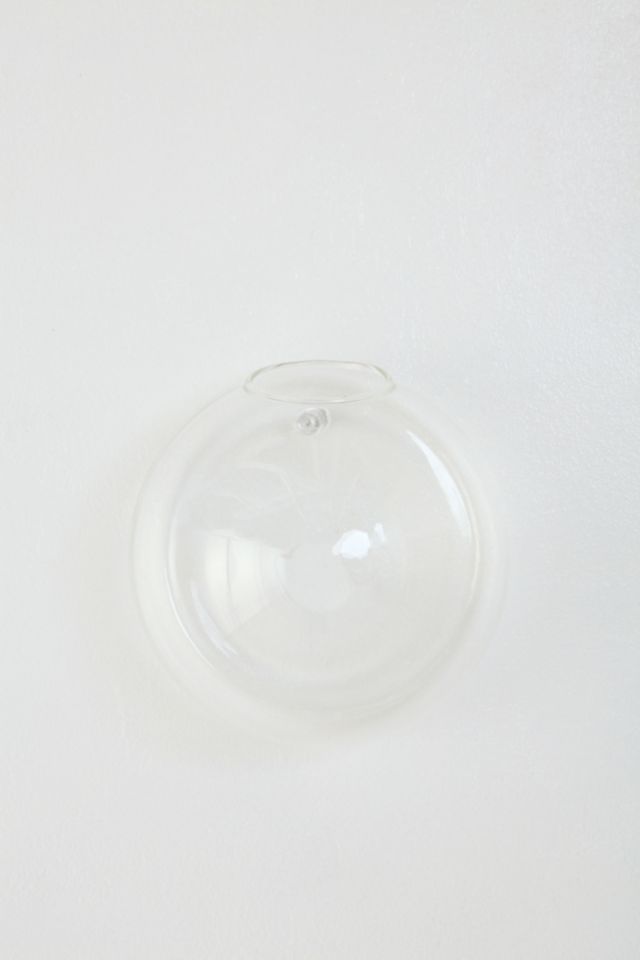 Glass Bubble Hanging Terrarium #2