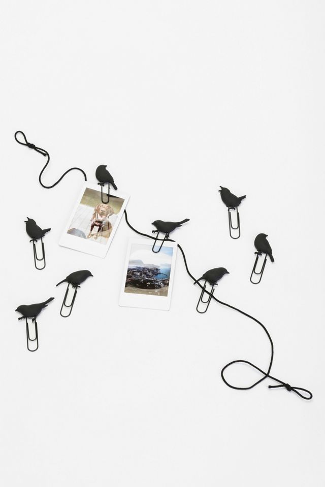 Birds on a Wire Photo Clip - Set of 8 | Urban Outfitters Canada
