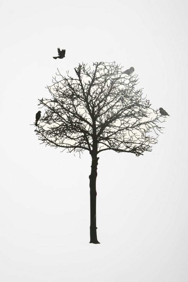 Silhouette Tree Wall Decal Urban Outfitters