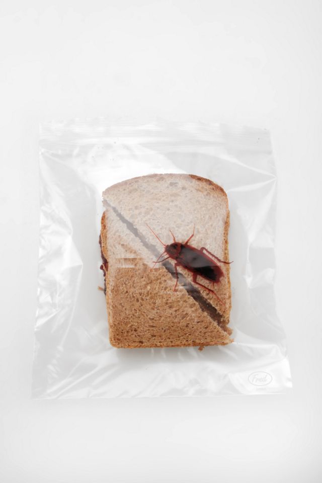 Lunch Bugs Sandwich Bags Urban Outfitters