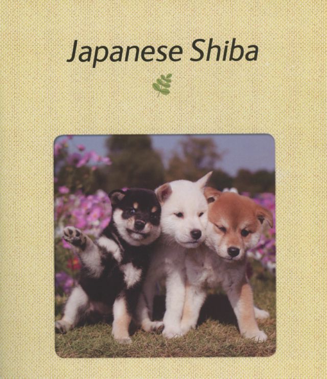 Puppies in 3D By Yoneo Morita #2
