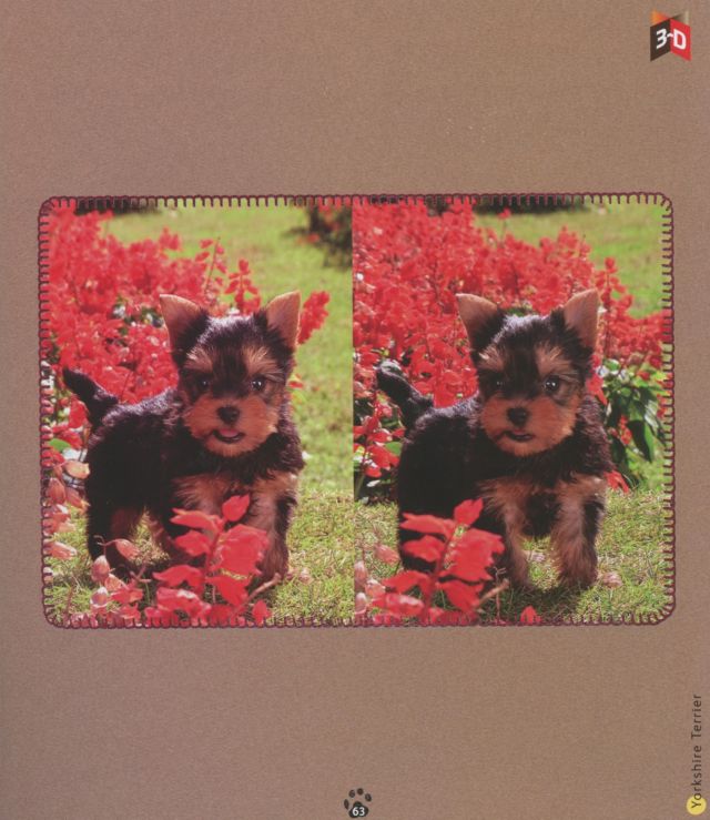 Puppies in 3D By Yoneo Morita #4