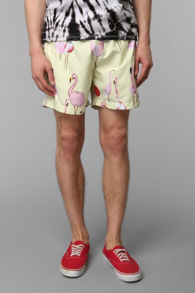 ambsn swim trunks