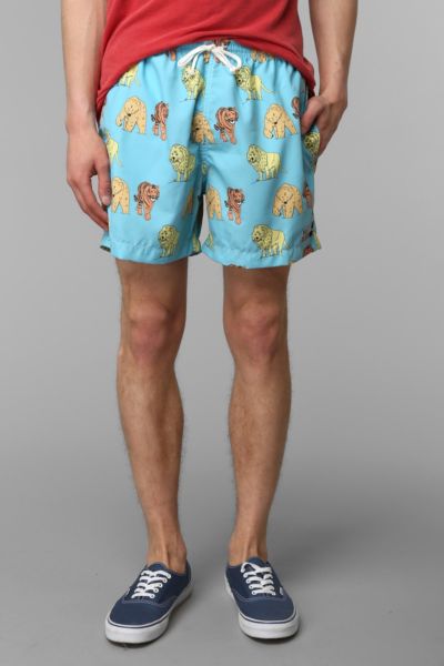 ambsn swim trunks