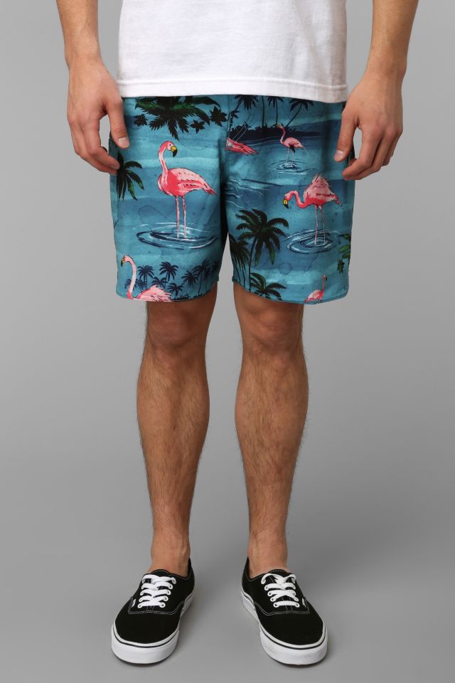 Vans best sale era boardshorts