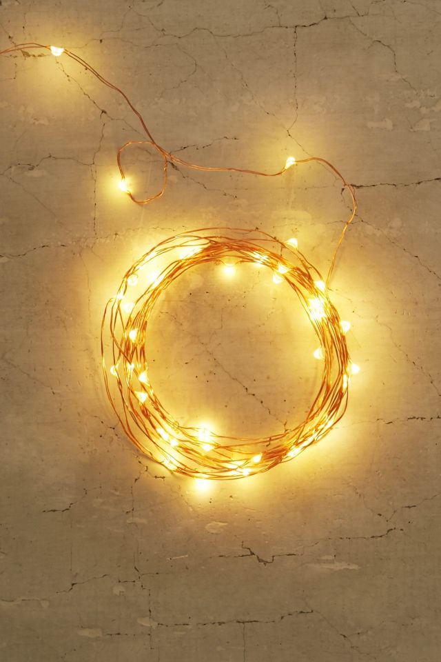 Firefly String Lights #1