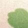 Green Flowers