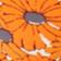 Dark orange