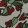 Red berry