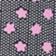 Black + Pink Flowers