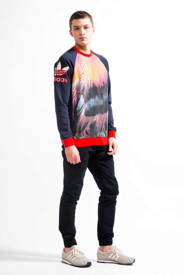 bomba Delegar su adidas Rooster Pullover Sweatshirt | Urban Outfitters