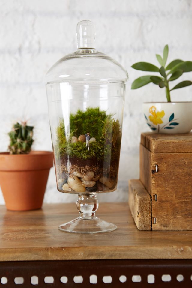 Picture This Twig Terrarium #2