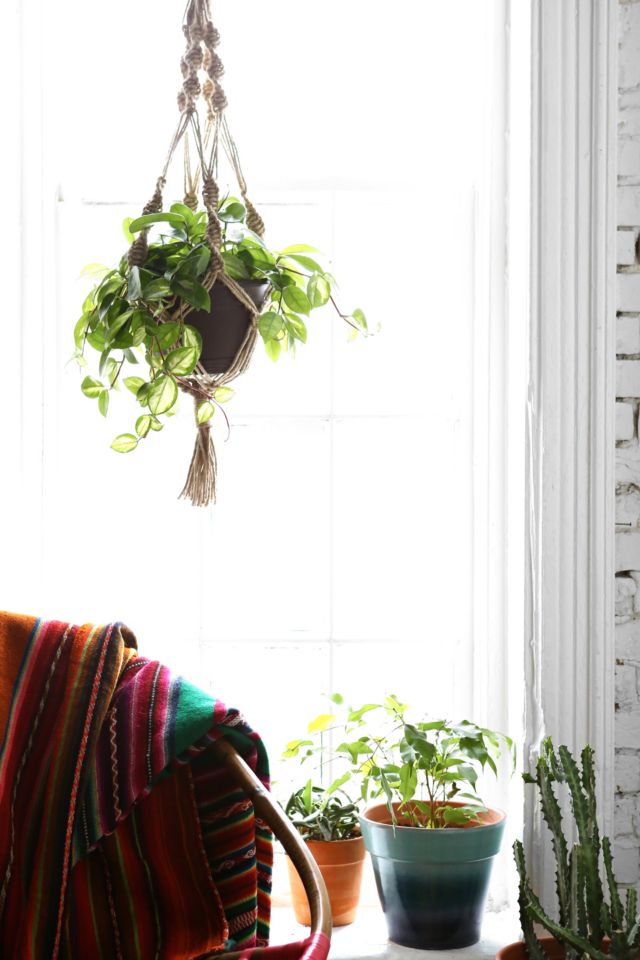 Magical Thinking Hand-Knotted Hanging Planter #3
