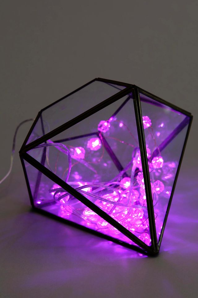 Rosebud String Lights #3