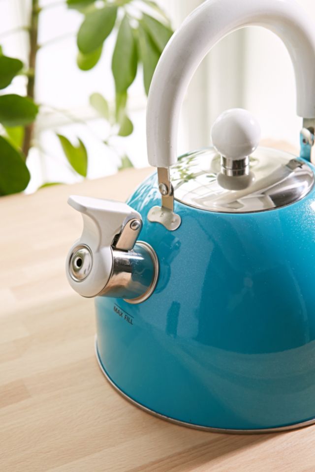 Stainless Tea Kettle  #1