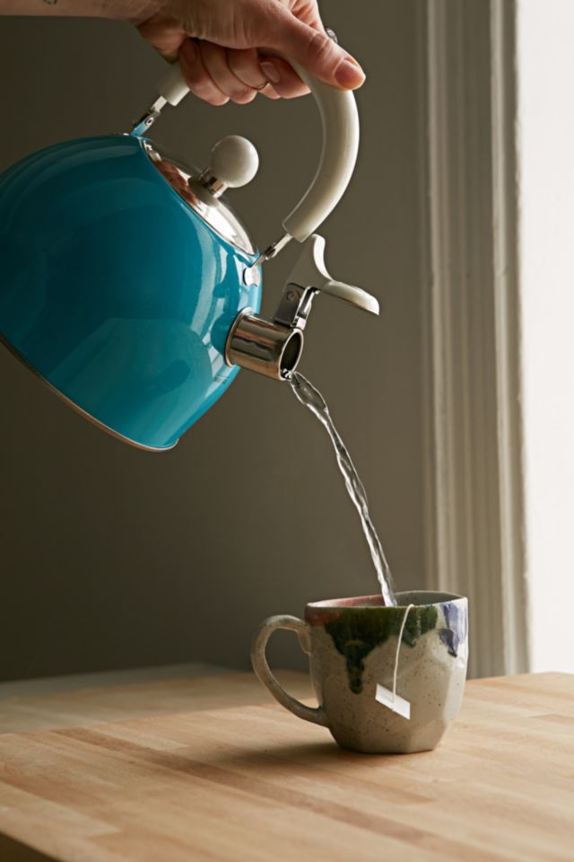 Stainless Tea Kettle  #2