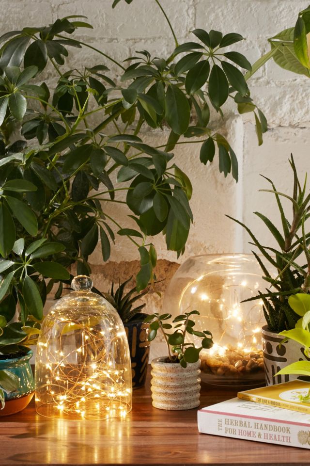 Firefly Battery Powered String Lights #2