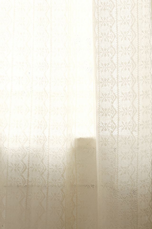 Lace Curtain #2