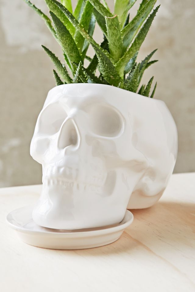 Outliving Ceramic Skull Planter #3