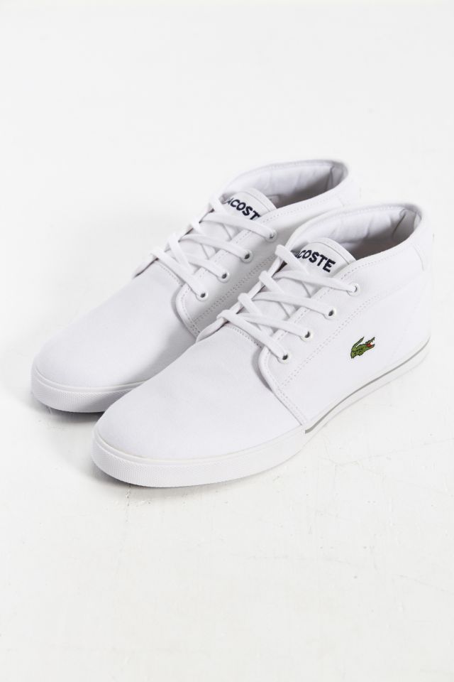 lacoste mid top