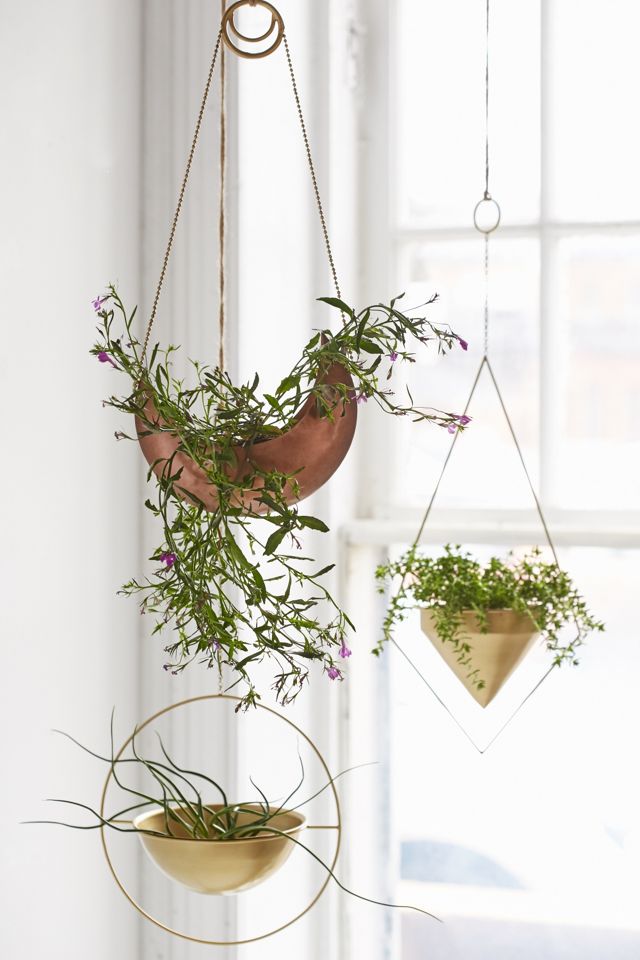 Magical Thinking Crescent Hanging Planter #2