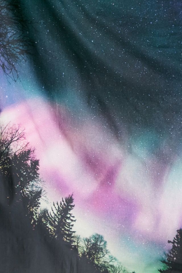 4040 Locust Northern Lights Tapestry #2