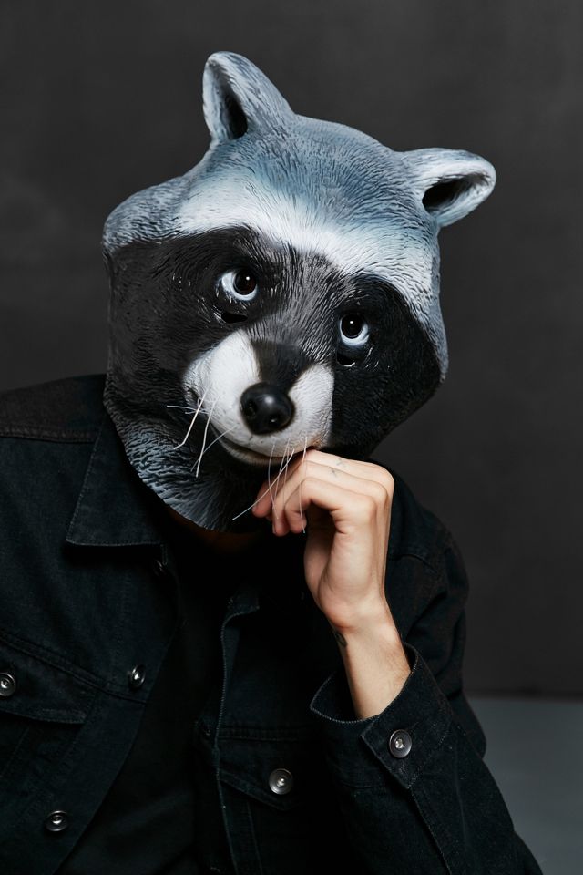 raccoon mask