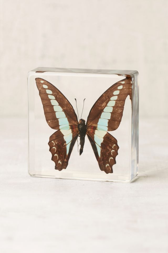Butterfly Decor Sculpture #1