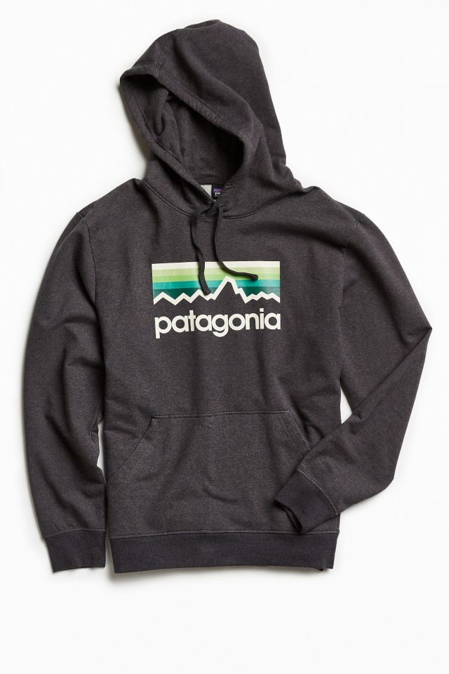 Patagonia hotsell hooded sweatshirt