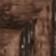 Walnut wood
