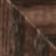 Walnut wood