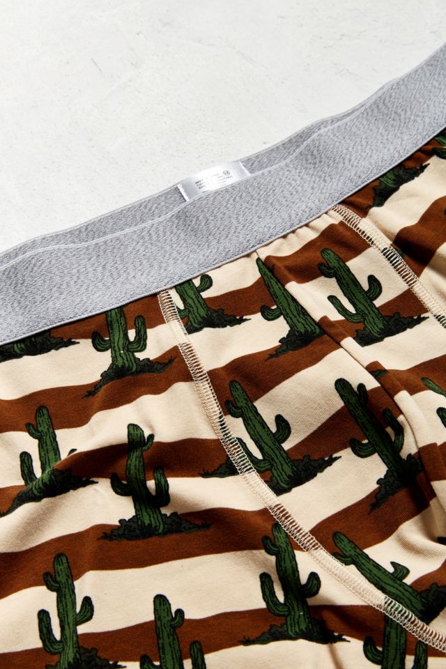 Cactus Boxer Brief #2