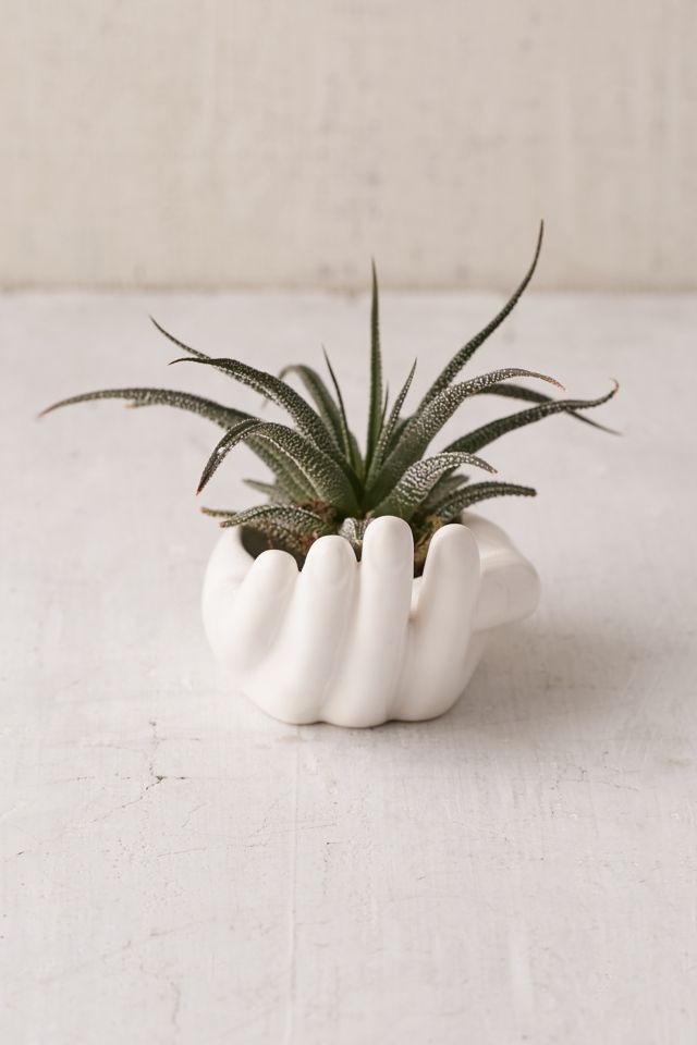 Hand Dish