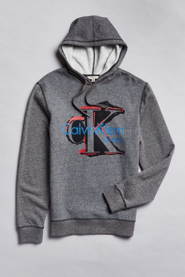 Pittig Reorganiseren Let op Calvin Klein '90s Vintage Logo Hoodie Sweatshirt | Urban Outfitters