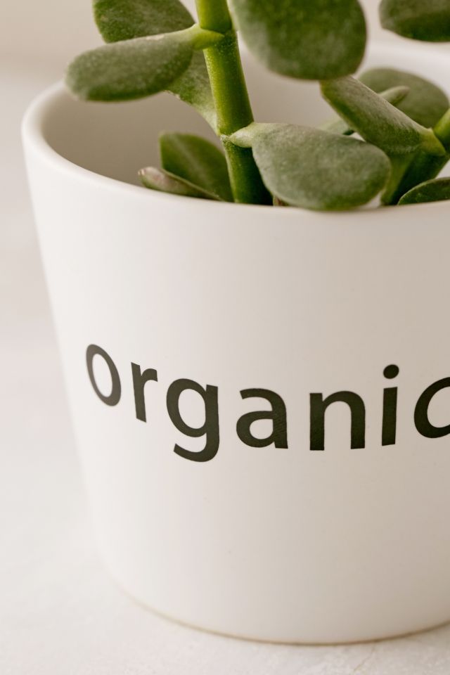 Jardinière Organic #2