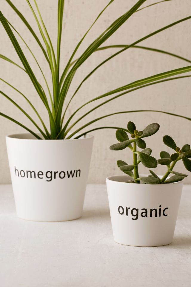 Jardinière Organic #3