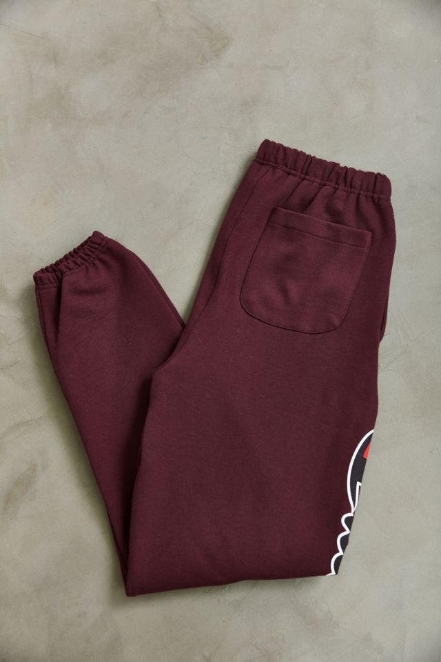 Champion & UO Reverse Weave Script Logo Sweatpant #1