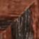 Walnut wood