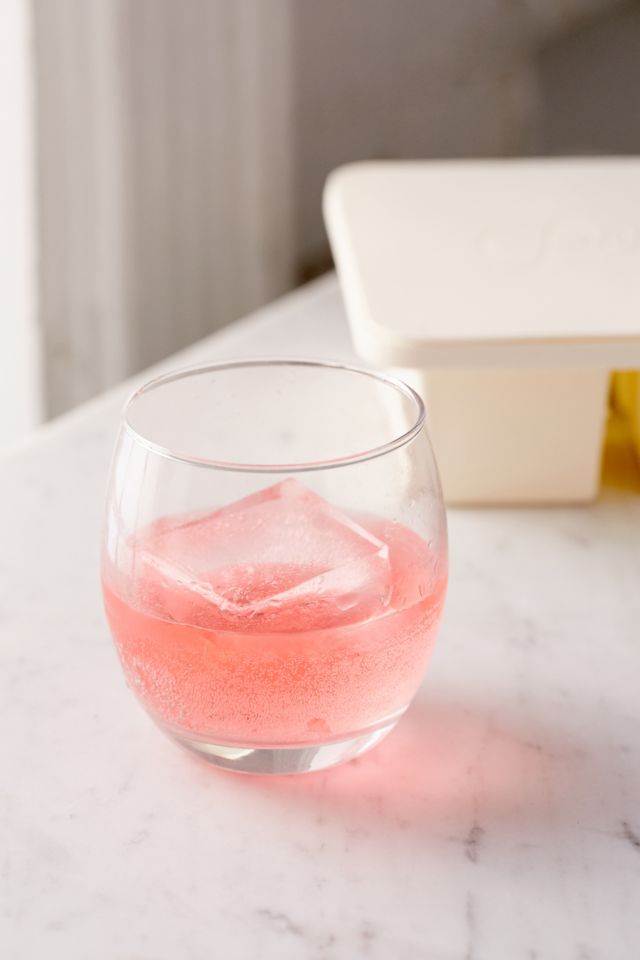 Peak Ice Works Ice Cube Tray #2