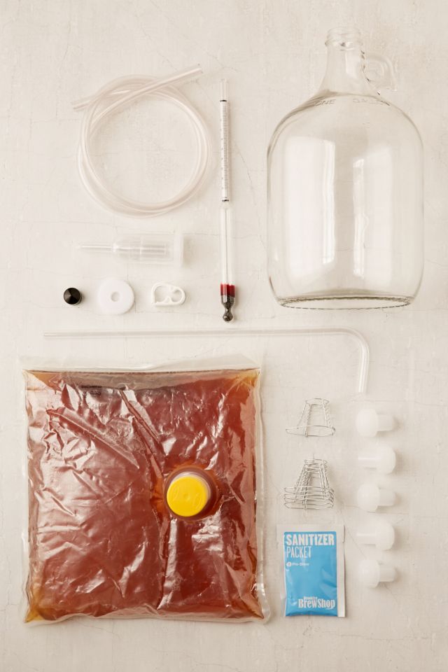 Brooklyn Brew Shop Bubbly Sparkling Wine Kit Urban Outfitters