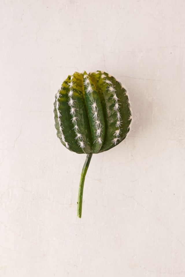 Small Cactus Decor #1