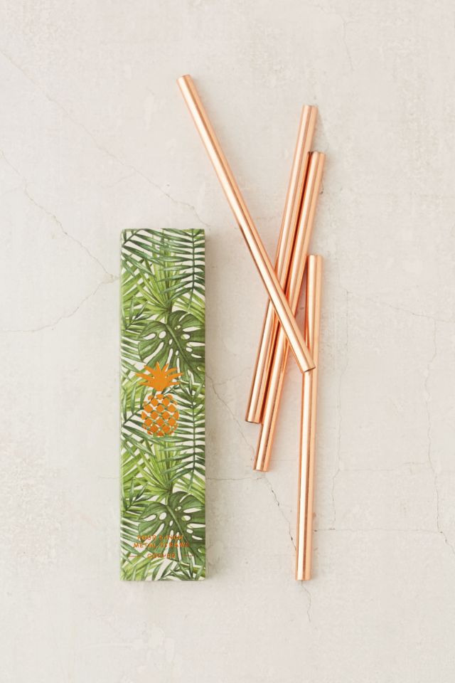 W&P Design 5" Copper Straws Set