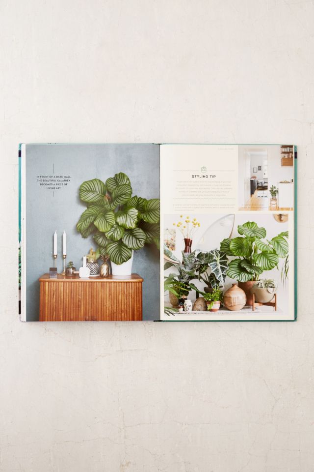 Urban Jungle: Living And Styling With Plants By Igor Josifovic & Judith de Graaff #4