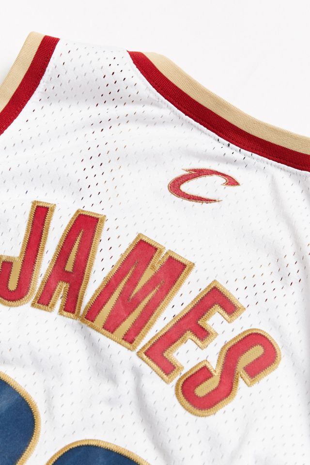 Vintage NBA Cleveland Cavaliers LeBron James Basketball Jersey #5