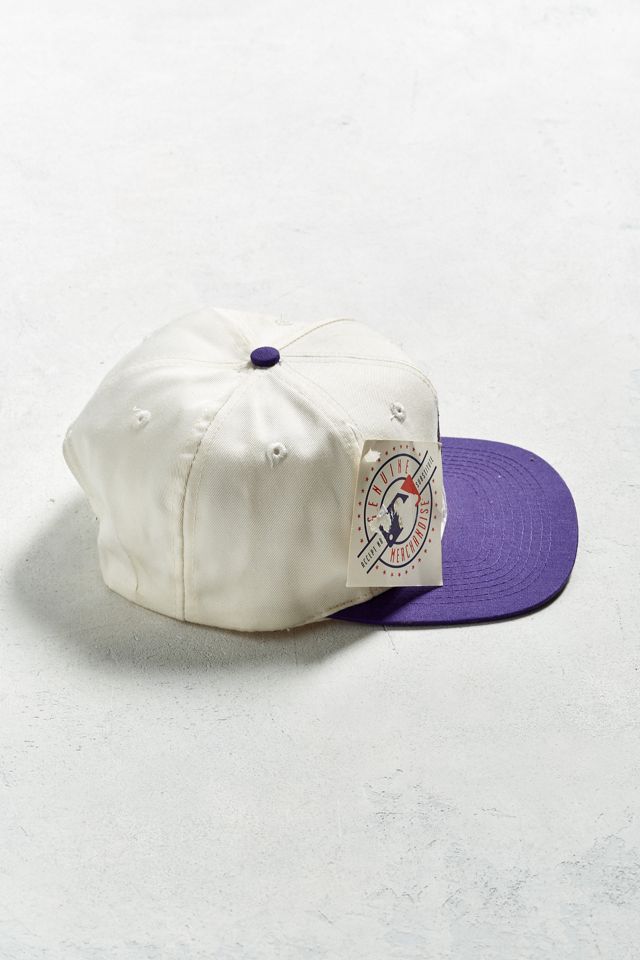Vintage Arizona Diamondbacks Snapback Hat #2