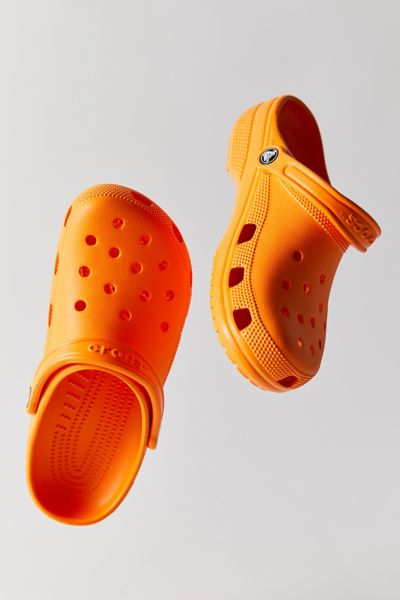 crocs from above