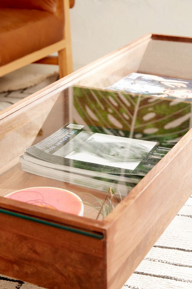 Shadowbox Coffee Table #5