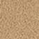 Mustard Seed